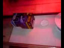 Hatchling leoaprd gecko care + cleaning cage