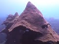 DORADO BUCEO VERACRUZ 1