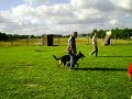 CLIP0049 (2).AVI