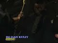 SEARCH - ISI DAN KULIT (amm cover) SEARCH - ISI DAN KULIT (amm cover)