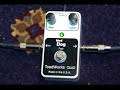 ToadWorks Mad Dog Fuzz Demo