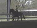 Clinic on Danny Day 2 - Canter Work (C)