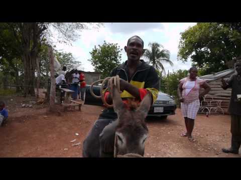 donkey riding