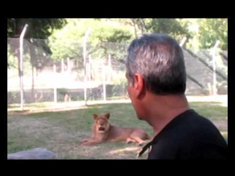 0  مهران مدیری در قفس شیرها در افریقای جنوبیMehran Modiri in The Lions Cage