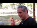 مهران مدیری در قفس شیرها در افریقای جنوبیMehran Modiri in The Lion's Cage
