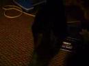 My Cat Shakes It\ My Cat Shakes It\