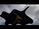 Schoolyard Of Clouds_jazz original Schoolyard Of Clouds_jazz original
