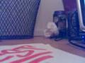 videos de UNI POSCA MARKER