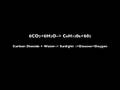 videos de Bio 0013 photosynthesis