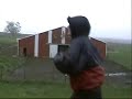 Red Letter Run - Horses Red Letter Run - Horses