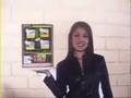 Promotora Virtual