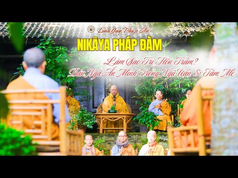 NIKAYA Pháp Đàm - Làm Sao Trị Hôn Trầm? Bản Ngã Ẩn Mình Trong Ngũ Uẩn & Tâm Mê