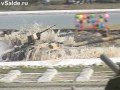 Выставка вооружений -- 2011