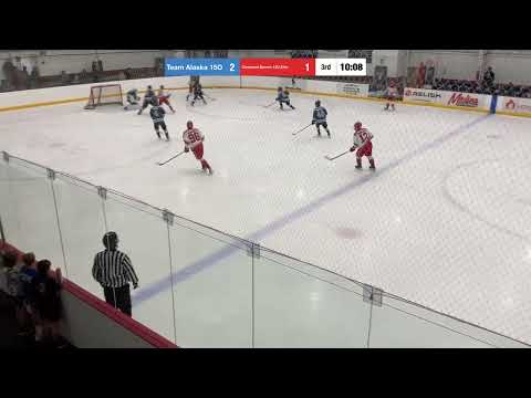 Cleveland Barons 15U AAA