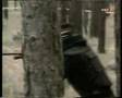 ORF2 Airsoft/Softair Beitrag