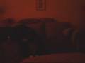 videos de Tiny and Me.wmv