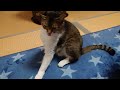 蹴りけり　20250213