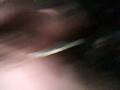 videos de stoner y dani