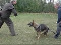 HeldSchJacob.wmv HeldSchJacob.wmv