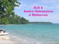 Andre Hehanussa - Suli é