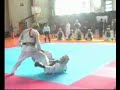 nippon kempo japan 2