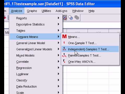 how to run an independent t test in spss