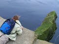 Ireland: Cliffs of Moher