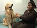 2000 Animal Hall of Fame - Therapy