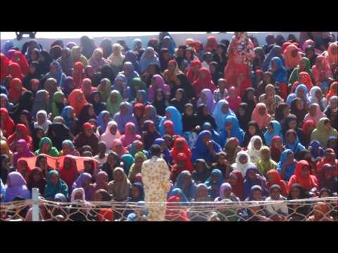 See video