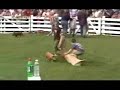 Pig Scramble 2007