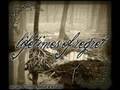 LIFETIMES OF REGRET - MIS LAGRIMAS