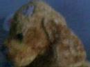 The Adventures of Star 1 The Adventures of Star 1