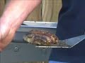 Cooking Demo - MHP Modern Home Products Gas Grill Cooking Demo - MHP Modern Home Products Gas Grill