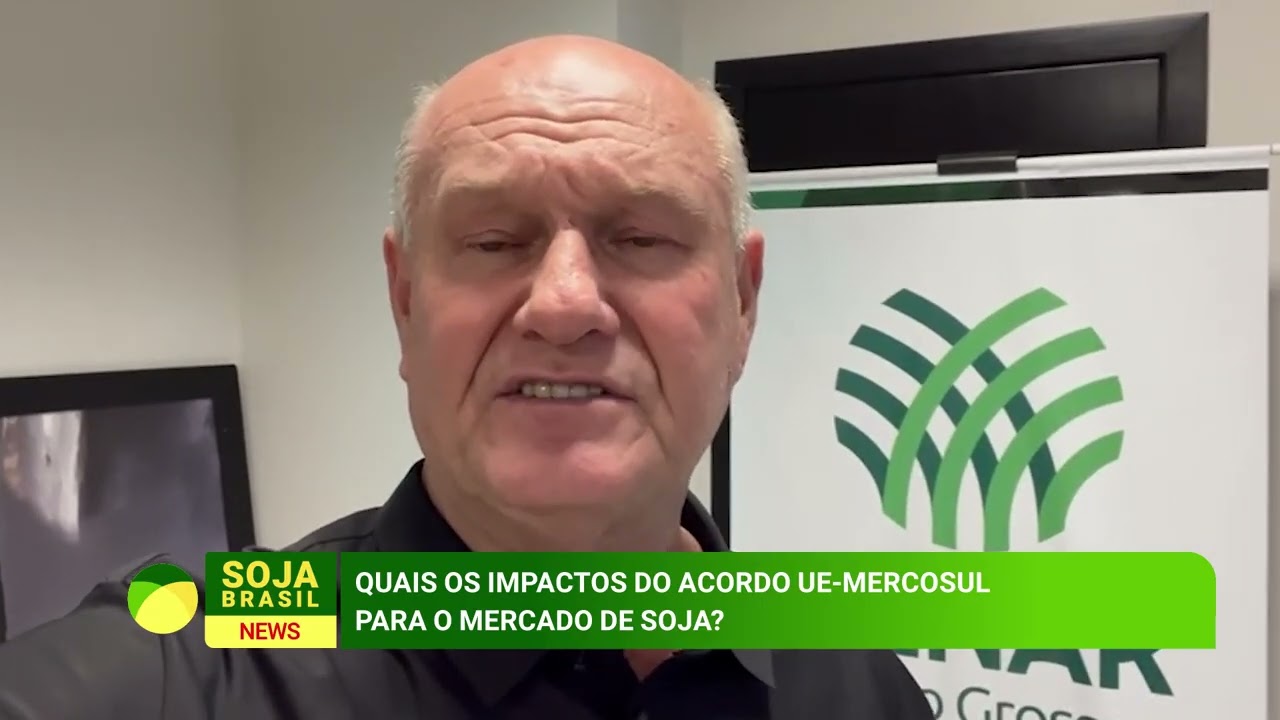'O setor da soja terá benefícios com o acordo Mercosul-UE', aponta Brandalizze