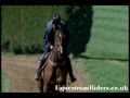 We have reviewed every possible equine insurance company and selected the very best. www.equestrianriders.co.uk With over 20 years experience and public liability cover up to £1.25m and vet's bills up to almost £6000 per incident, they have you covered. horse insurance, horse...