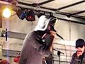 SopraSisma & Unknowing Associate hip hop crossover freestyle SopraSisma & Unknowing Associate hip hop crossover freestyle