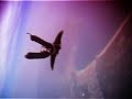 Skyflying with a tracksuit