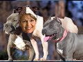 Sarah Palin Blues