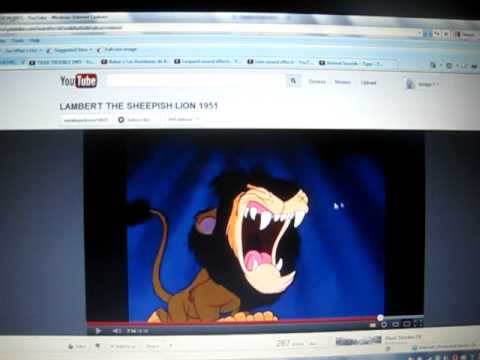 TIGER SNARL +