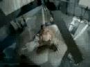 N'sync-Tearin' up my heart