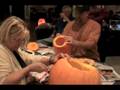 videos de Animal Kingdom breakfast