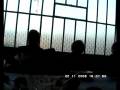 Estarreja Rojões video 3