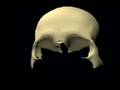 Skull Animation - Frontal Bone Articulations