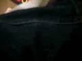 videos de Mattress surfing gone so wrong