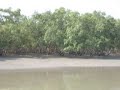 Sundarbans boating