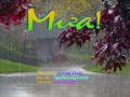 MƯA