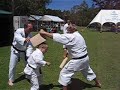 Flying side kick