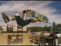 Mixed nuts - Skim board skate surf and snow