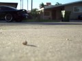 FD RX7 Walk Around