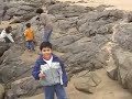 Papudo en la Playa